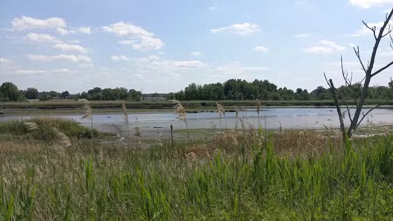 Hawk Rise Sanctuary - Linden, NJ