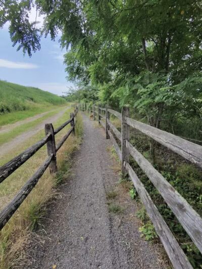 Hawk Rise Sanctuary - Linden, NJ