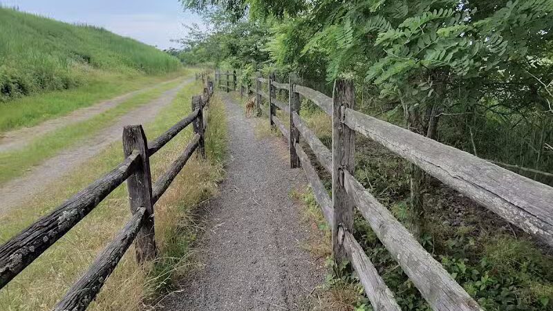Hawk Rise Sanctuary - Linden, NJ