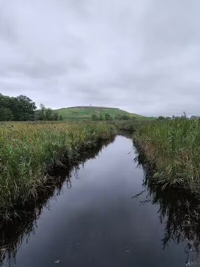 Hawk Rise Sanctuary - Linden, NJ