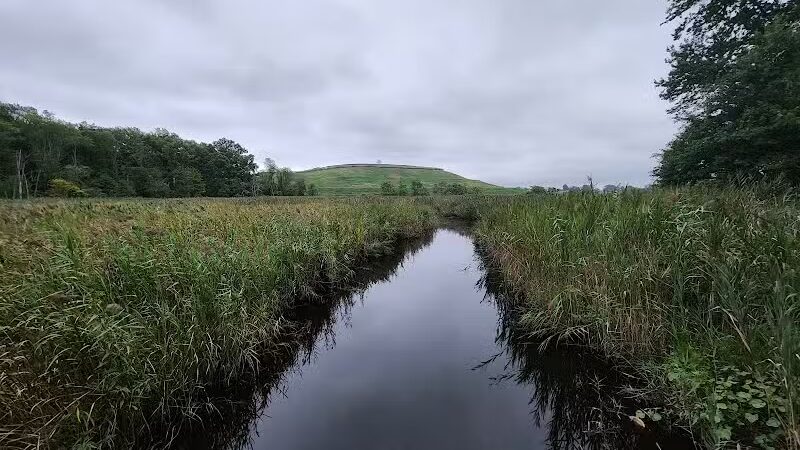 Hawk Rise Sanctuary - Linden, NJ