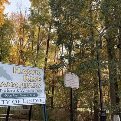 Hawk Rise Sanctuary - Linden, NJ