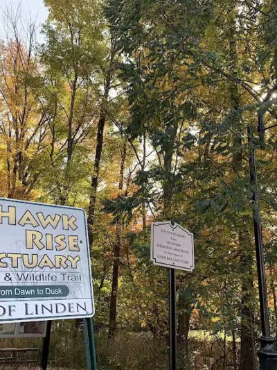 Hawk Rise Sanctuary - Linden, NJ