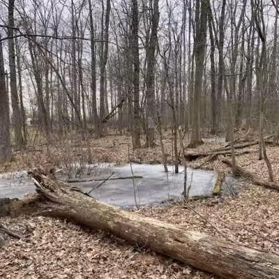 Hawk Rise Sanctuary - Linden, NJ
