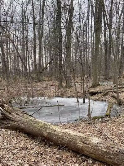 Hawk Rise Sanctuary - Linden, NJ