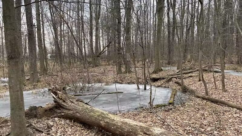Hawk Rise Sanctuary - Linden, NJ