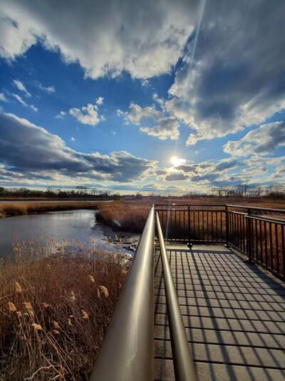 Hawk Rise Sanctuary - Linden, NJ