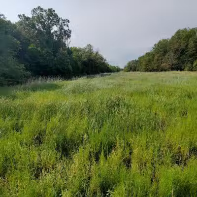 Hawk Rise Sanctuary - Linden, NJ