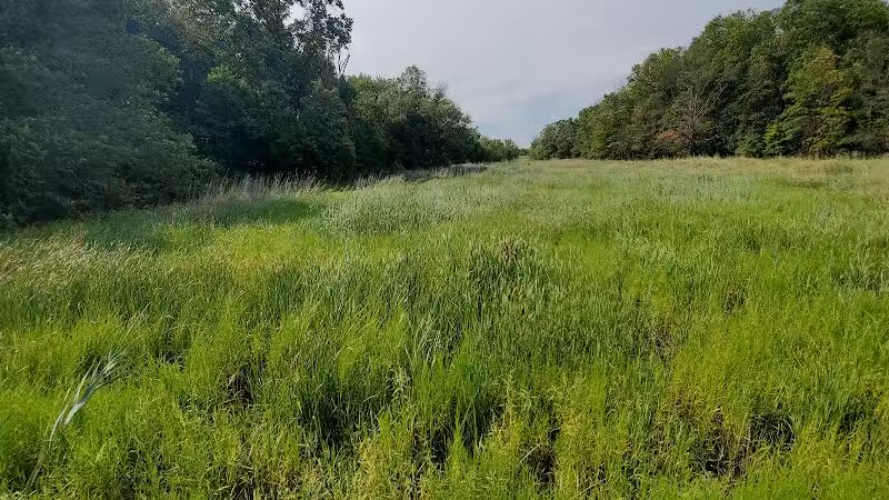 Hawk Rise Sanctuary - Linden, NJ