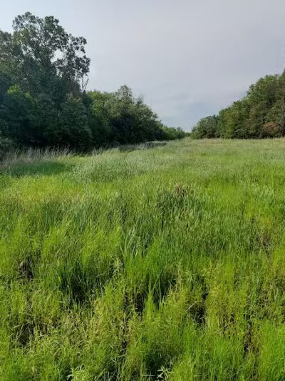 Hawk Rise Sanctuary - Linden, NJ