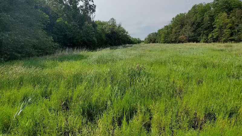Hawk Rise Sanctuary - Linden, NJ