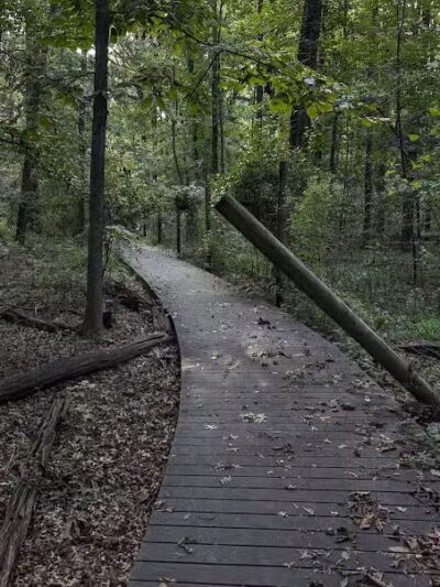 Hawk Rise Sanctuary - Linden, NJ