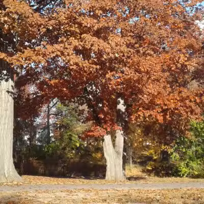 John Russell Wheeler Park - Linden, NJ