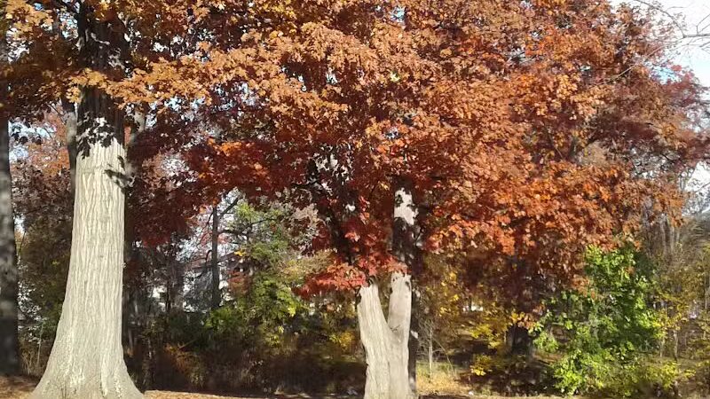 John Russell Wheeler Park - Linden, NJ