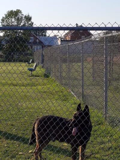 Memorial Field Park - Linden, NJ