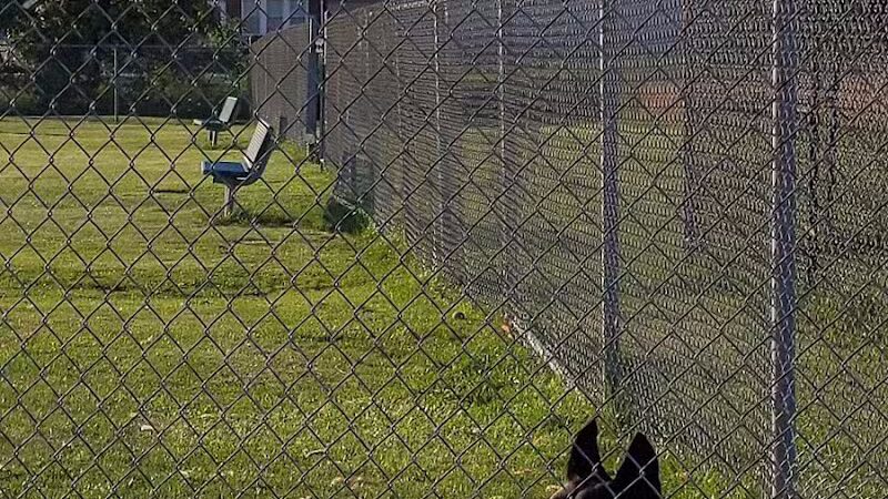 Memorial Field Park - Linden, NJ