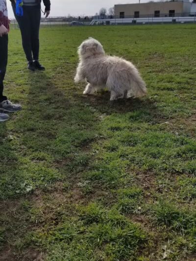 Memorial Field Park - Linden, NJ