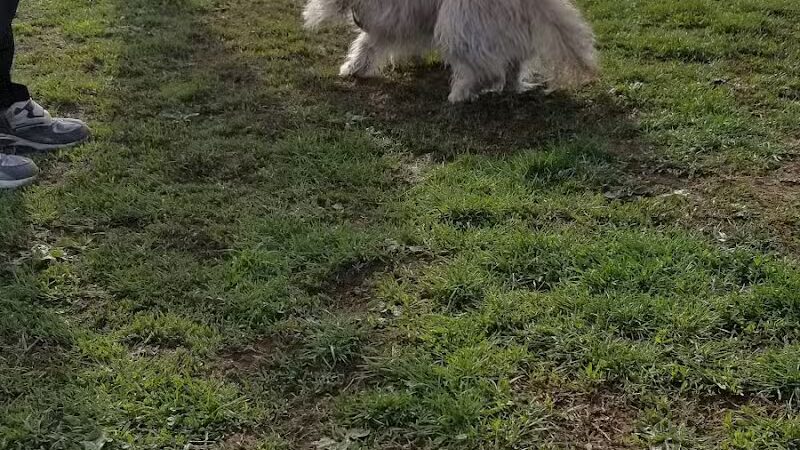 Memorial Field Park - Linden, NJ