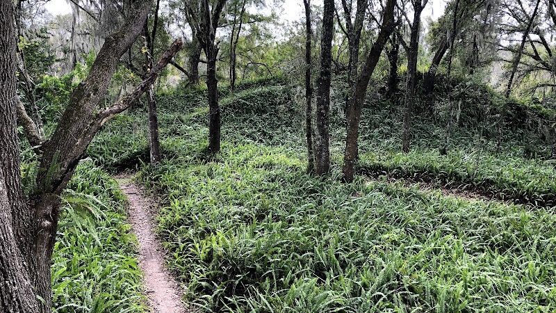 Balm Boyette Scrub Nature Preserve - Lithia, FL