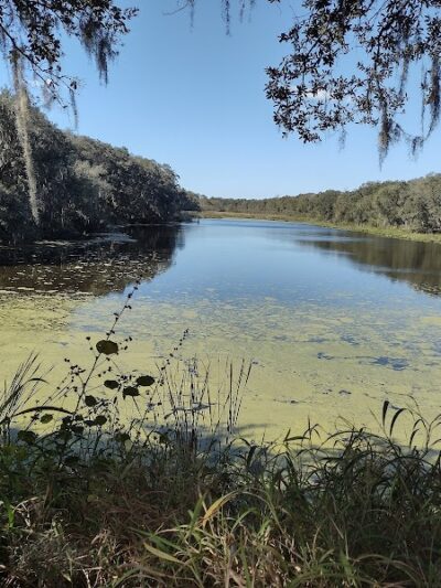 Balm Boyette Scrub Nature Preserve - Lithia, FL