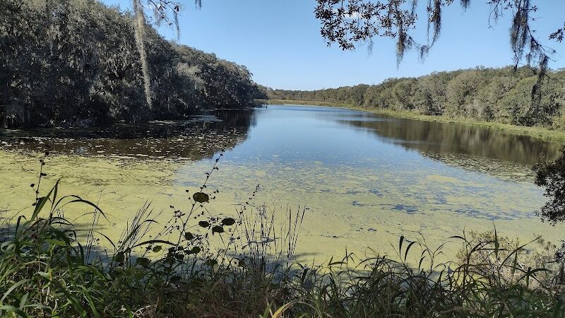Balm Boyette Scrub Nature Preserve - Lithia, FL