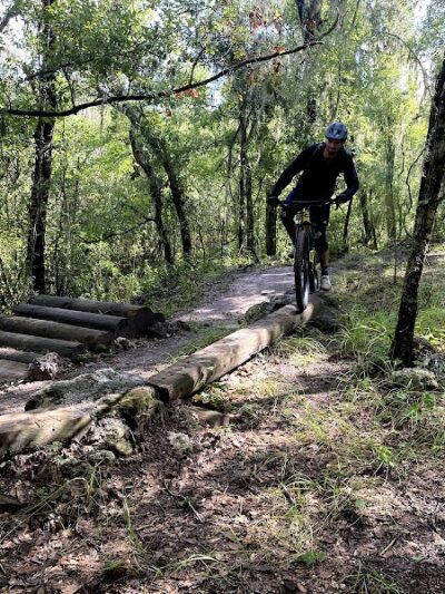 Balm Boyette Scrub Nature Preserve - Lithia, FL
