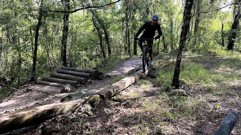 Balm Boyette Scrub Nature Preserve - Lithia, FL