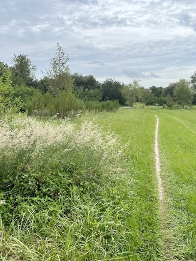 Balm Boyette Scrub Nature Preserve - Lithia, FL
