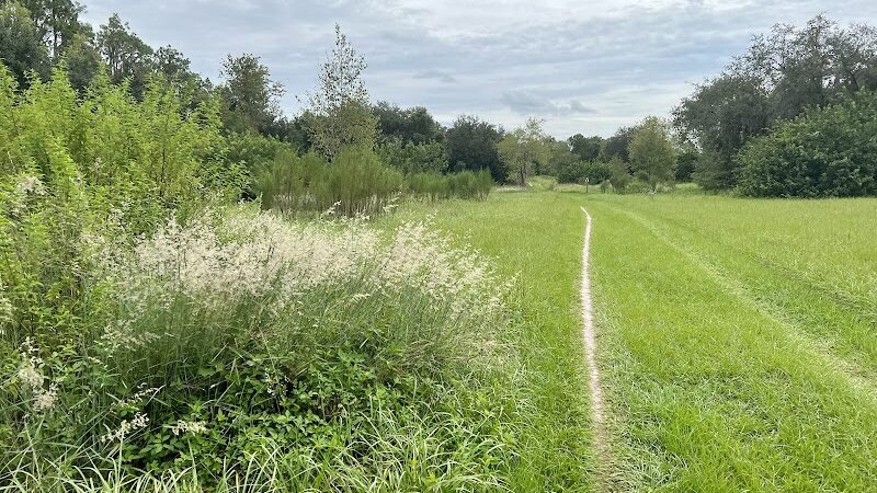 Balm Boyette Scrub Nature Preserve - Lithia, FL