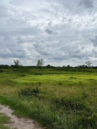 Balm Boyette Scrub Nature Preserve - Lithia, FL