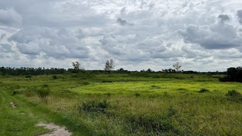 Balm Boyette Scrub Nature Preserve - Lithia, FL