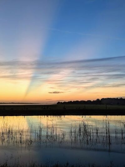 Balm Boyette Scrub Nature Preserve - Lithia, FL