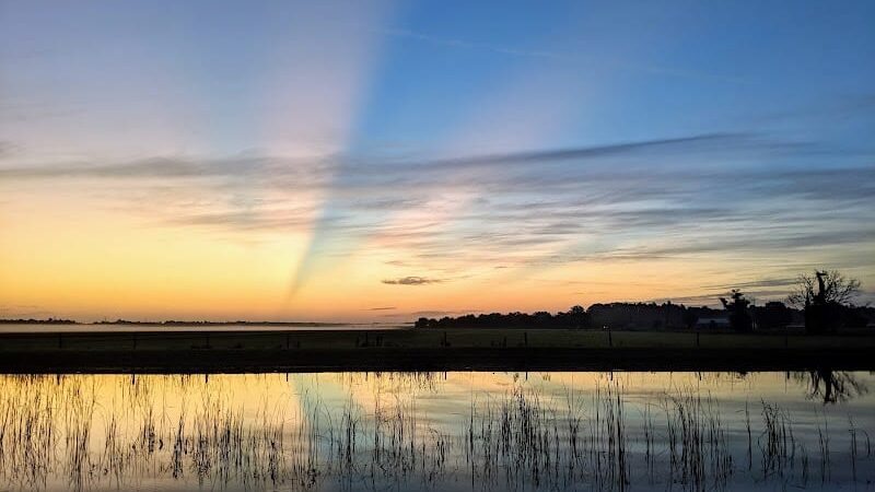 Balm Boyette Scrub Nature Preserve - Lithia, FL