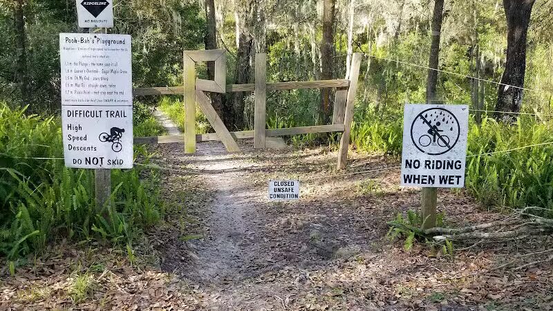 Balm Boyette Scrub Nature Preserve - Lithia, FL