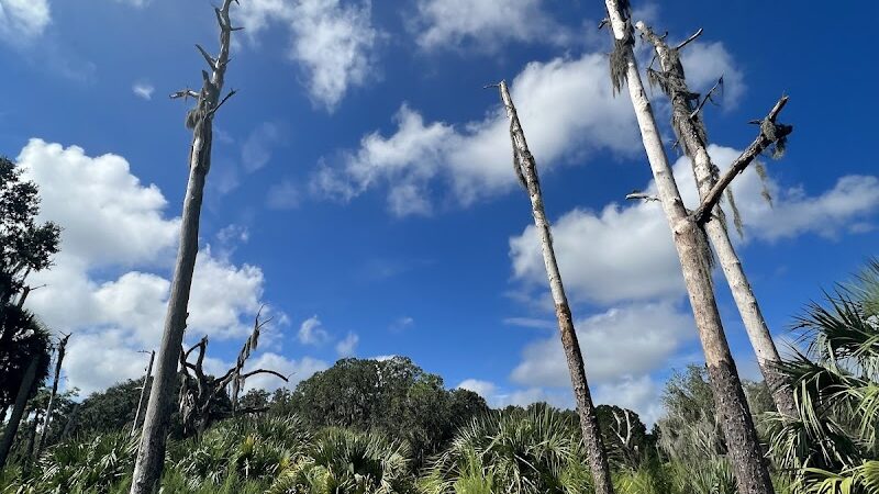 Chito Branch Reserve - Lithia, FL