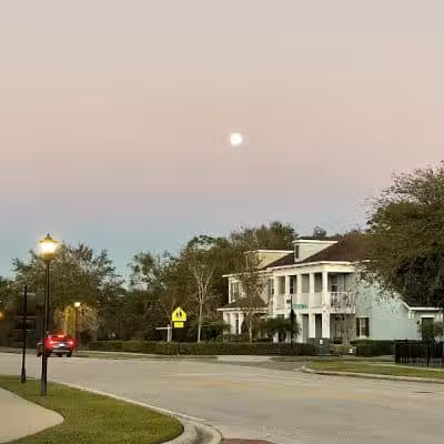 Cross Park - Lithia, FL