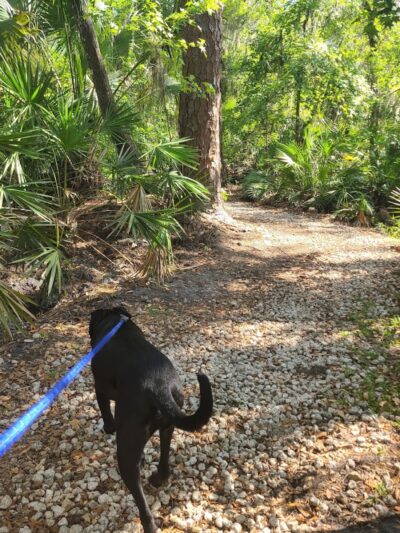 Fishhawk Creek Nature Preserve North - Lithia, FL
