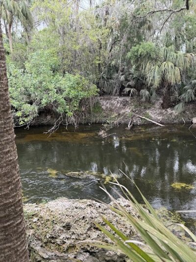 Fishhawk Creek Nature Preserve North - Lithia, FL