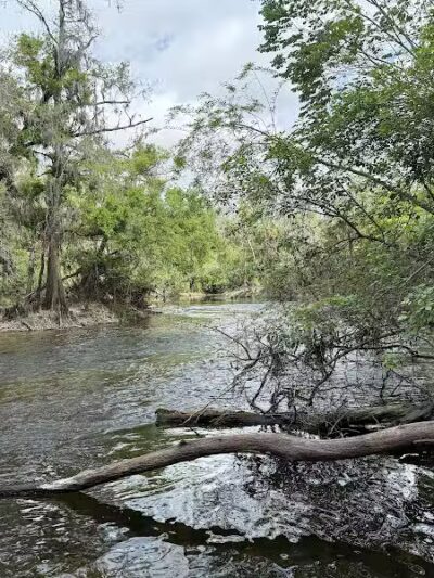 Fishhawk Creek Nature Preserve North - Lithia, FL