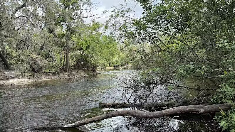 Fishhawk Creek Nature Preserve North - Lithia, FL