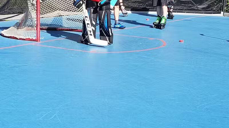 Hawk Park - Lithia, FL