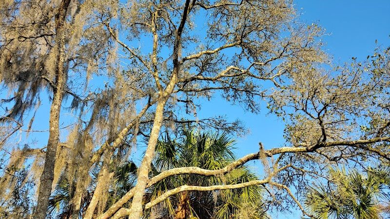 Ibis Park - Lithia, FL