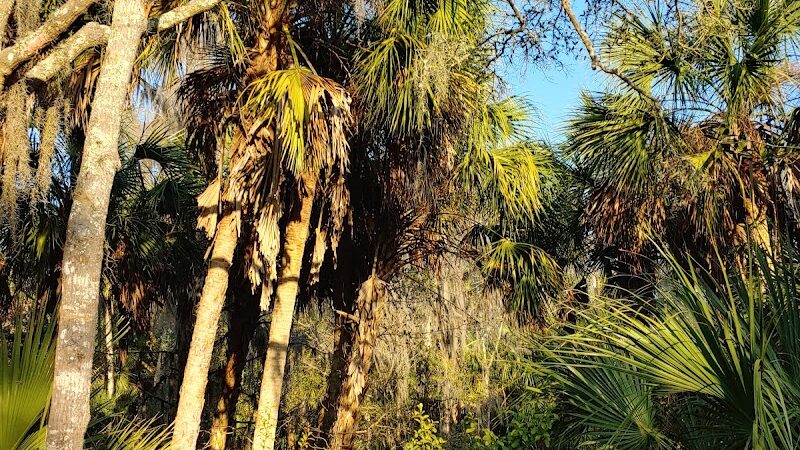 Ibis Park - Lithia, FL