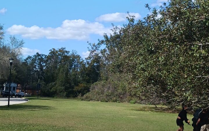Ibis Park - Lithia, FL
