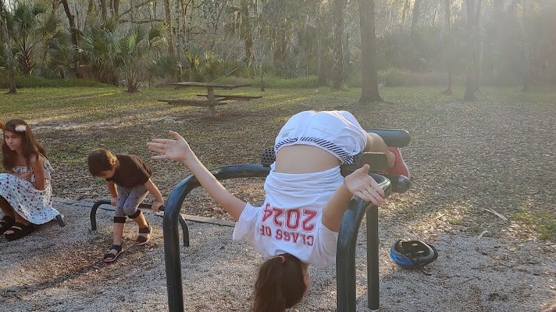 Ibis Park - Lithia, FL