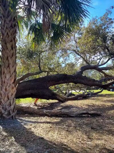 Ibis Park - Lithia, FL