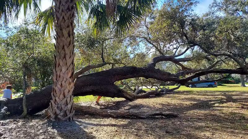 Ibis Park - Lithia, FL