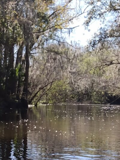 Lithia Springs Park - Lithia, FL