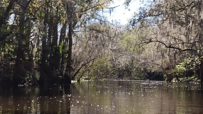 Lithia Springs Park - Lithia, FL