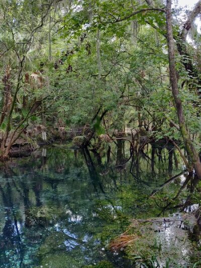 Lithia Springs Park - Lithia, FL